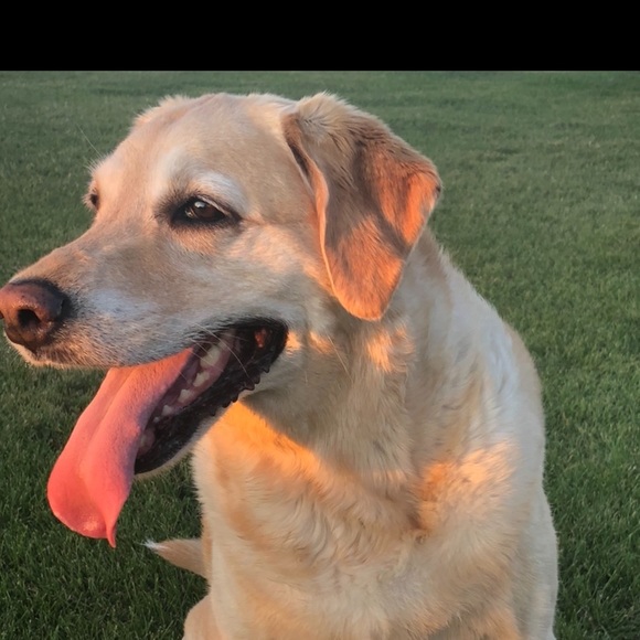 Meet your Posher, Michelle - Picture 2 of 3